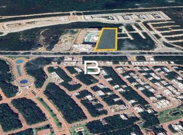 Terreno / Lote · 14990m² · Terreno en Arbolada