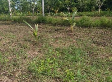 Terreno / Lote , Mazatán · Rentarlo Para Alguna Tienda o Gasolina