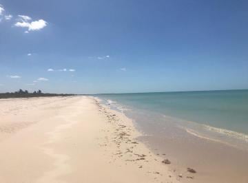 13f27214252e173aae4e5d452ddf57fb619eea2093ee1d21bbc4c14e07f4e098 · Terreno en Venta Frente Al Mar en Sisal, Yucatán.