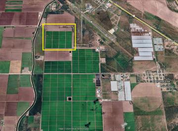 Terreno / Lote , Cajeme · 100 Hectáreas Terreno Agrícola en Renta con Pozo de 49 L/s Ciudad Obregón Valle del Yaqui