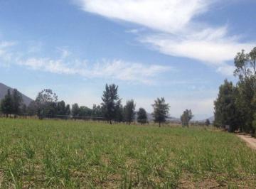 Terreno / Lote , Tala · Terreno en Venta La Villita · San Isidro Mazatepec