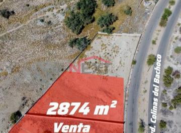 Foto principal · Terreno en Venta en Quinta La Paloma