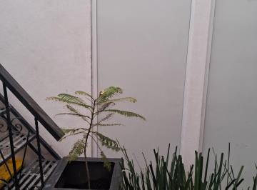 Departamento de 1 habitación, Iztapalapa · Cómodo, Independiente y Privado Departamento