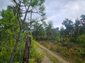 1 · Terreno en Venta en La Yerbabuena, Tapalpa, Jalisco