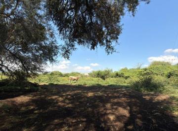 Terreno industrial , Tlajomulco de Zúñiga · Terreno en Venta en Santa Cruz de Las Flores, Tlajomulco – 30,047 m²