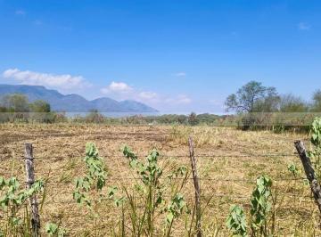 Terreno / Lote · 30000m² · Terreno / Lote en Venta en Atongo de Abajo