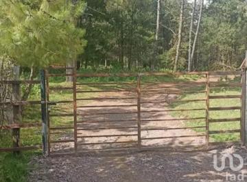 Terreno / Lote · 380000m² · Terreno Campestre en Tapalpa