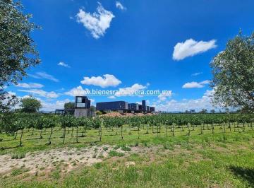 27feba52260de8ee90df2b8b088fc9969f54827926017c21e24824625fc69483 · Viñedo en Venta en Tequisquiapan Queretaro. Damián