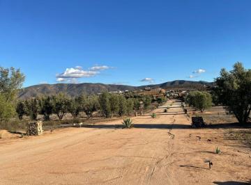 1ca0e8df7a41711af5208ba060cd6acfce44f9de795f4f89c76d3e60110e907d · Terreno en Venta en Tierra Santa Valle de Guadalupe