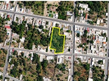 Terreno / Lote , Parras · Terreno Arbolado en Venta | Zona Centro de Parras