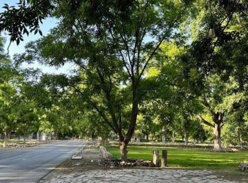720c4f77eaa268450beaaa7eda3a368067c3cf0b6d4d4ef63479fee1369343e8 · Terreno Campestre en Venta en Parras