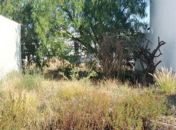 Terreno / Lote · 140m² · Venta Terreno Juriquilla