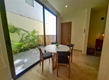 4d5a5f2e6c5a4b9951d5d4f4505bc9427ee82ac62e159bf7bafa2e943e9d2fa3 · Estudio con Patio en Renta en Area Comercial de Aldea Zama