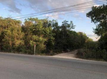 Terreno / Lote · 5000m² · Terreno en Venta en Cancun Col. Doctores 5000 m²