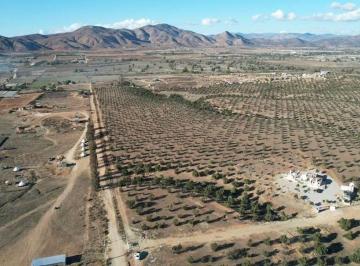 2f44e64c9fb6fb750b3b1442e47bd42eb668df8988937d303bc2037fa894cacd · Terreno en Venta en Valle de Guadalupe Ensenada