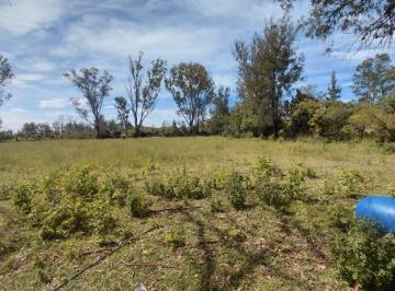 Terreno / Lote , León · Se Vende Terreno en Rancho Nuevo La Venta de 10 Hectáreas
