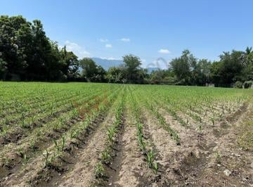 N/A · Propiedad en Venta - Calle San Miguel 38, Barrio Ixtlahuacán, 62732 Yautepec de Zaragoza, Mor, Méxic