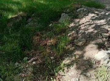N/A · Terreno con Huerto en Producción en Parras de La Fuente, Coahuila