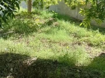 N/A · Terreno con Huerto en Producción en Parras de La Fuente, Coahuila