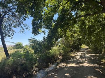 N/A · Dalias. Terreno en Venta en Parras Terreno 5 Mil m Parras| Potencial Agrícola y Vitivinícola