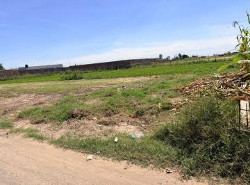 Terreno / Lote , Irapuato · Terreno en Venta El Arenal, Irapuato Gto.