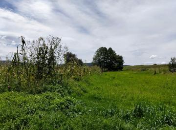 Terreno / Lote , Almoloya del Río · Terreno Superficie 1900 m²