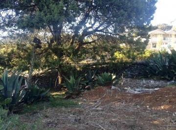 Huerta en Venta Rancho o rancheria El Pinalito · Pequeña Casa de Campo