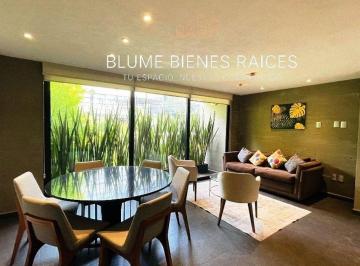 71a02b598e4292b1cdb1d74e1c5d5716a398099c3e014bc51ecab87a47cece91 · Renta de Agradable Garden House Amueblado, Temistocles Cerca Masaryk