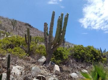 Terreno / Lote · 10545m² · Rincon Cerca del Cielo - (4)