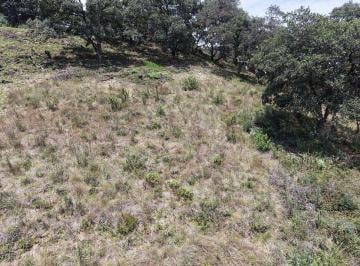 Terreno / Lote · 1650m² · Terreno en Venta de Terreno en Fracc. Residencial Campestre, Lt. 124, Villa del Carbón
