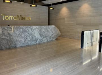 Oficina , San Pedro Garza García · Torre Malva | Oficina Corporativa Aaa