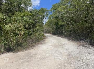 Calle de Acceso · Terreno en Venta | Alfredo V. Bonfil | Cancun C4167