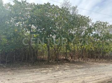 Terreno / Lote · 5000m² · Terreno en Venta El Saucito Juarez N. L.
