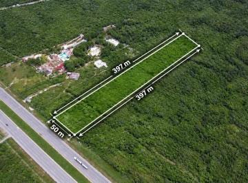 1 · Terreno Comercial en Venta en Carretera Mérida, Progreso: Ideal Para Actividades Productivas