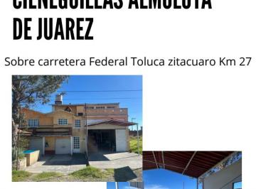 Local comercial , Almoloya de Juárez · Inmueble Comercial Bodega + Salón de Eventos Sobre Carretera Tolu