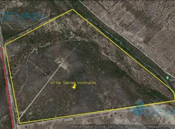 Terreno / Lote · 400000m² · Terreno en Salinas Victoria