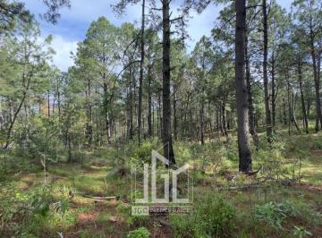 afe197bc2b41f5b290ce29550a4cefe67052c6d92c718f8382855ff41e5b0a3c · Terreno en Venta en Tapalpa a Lado de Bosques de La Cañada