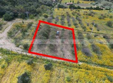 Terreno / Lote · 884m² · Terreno / Lote en Venta en La Ciruela