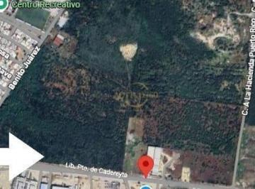 Terreno industrial · 16000m² · Terreno Industrial en Renta Sobre Av Alfonso Martínez Domínguez, Cadereyta Jiménez, N. L.