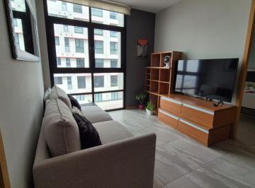 Departamento de 2 habitaciones, Miguel Hidalgo · Departamento en Renta en Polarea