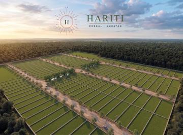 Terreno / Lote , Conkal · Terrenos en Venta en Conkal Yucatán