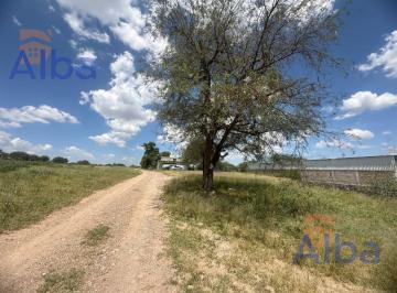 Rancho · 341000ha · Rancho en Venta en El Tule en Villa Juarez