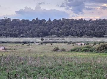 20260602_190250.jpg · Terreno Residencial en Venta en Pueblo San Pedro Tenango