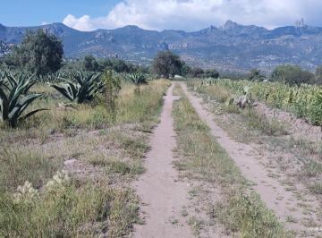 Terreno / Lote 7250m² Venta Pueblo San José Tepenene · Terreno Campestre en Venta, Excelente Ubicación