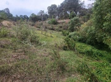 Terreno / Lote , Donato Guerra · Terreno en Venta en San Francisco Mihualtepec, Valle de Bravo, con Río