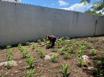Terreno / Lote , Tuxtla Gutiérrez · Se Vende Bonito Terreno