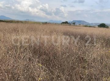 Terreno / Lote · 1215m² · Terreno en Venta, Tlayacapan Morelos, Escriturado