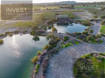 Terreno / Lote · 2999m² · Terreno en Viña del Cielo Vineyard & Residences