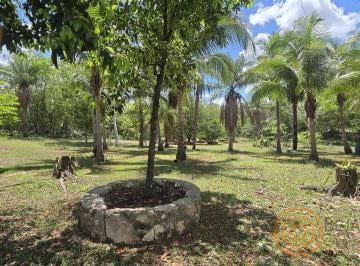 Rancho · 220000m² · Rancho en Tixcacalcupulranchos en Venta en Tixcacalcupul, Yucatán – Proyecto Ecológico con Cenotes (