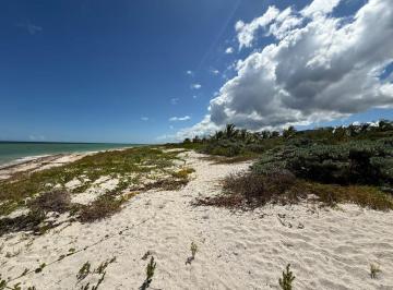 Terreno / Lote , Telchac Puerto · Hermoso Terreno en Venta Frente Al Mar en San Bruno